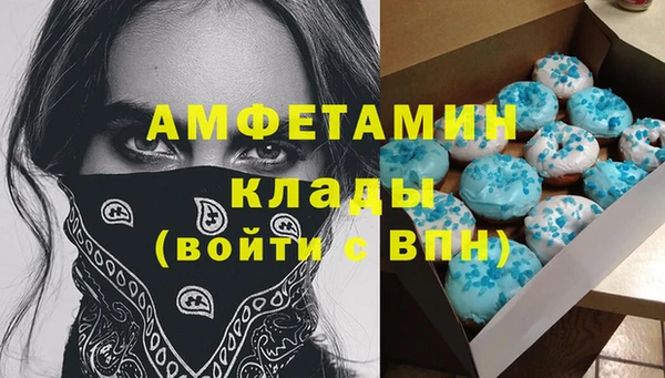 Альфа ПВП Верея