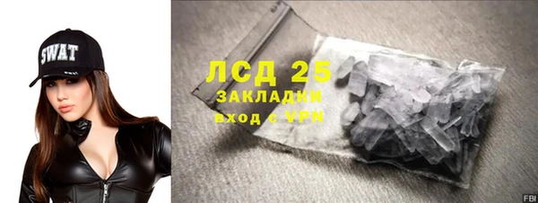 прущие грибы Бугульма