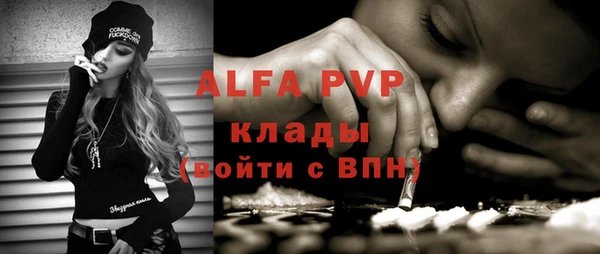Альфа ПВП Верея