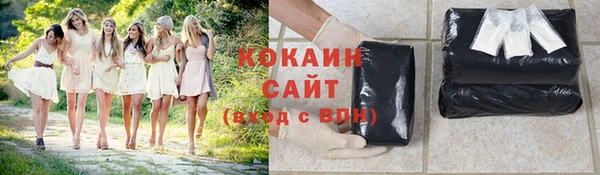 прущие грибы Верхнеуральск