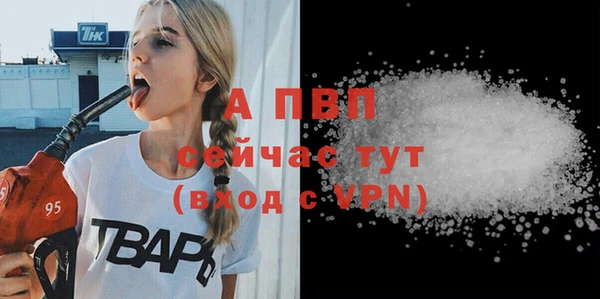 Альфа ПВП Верея
