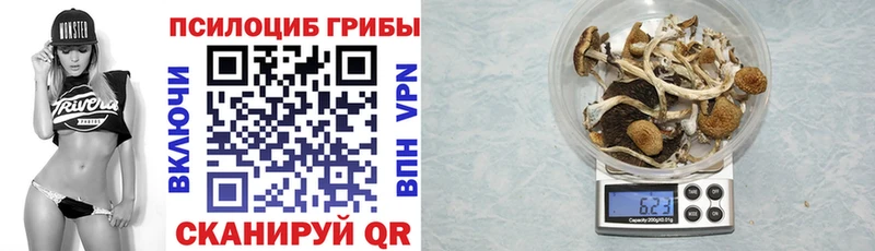 Галлюциногенные грибы Psilocybine cubensis Голицыно